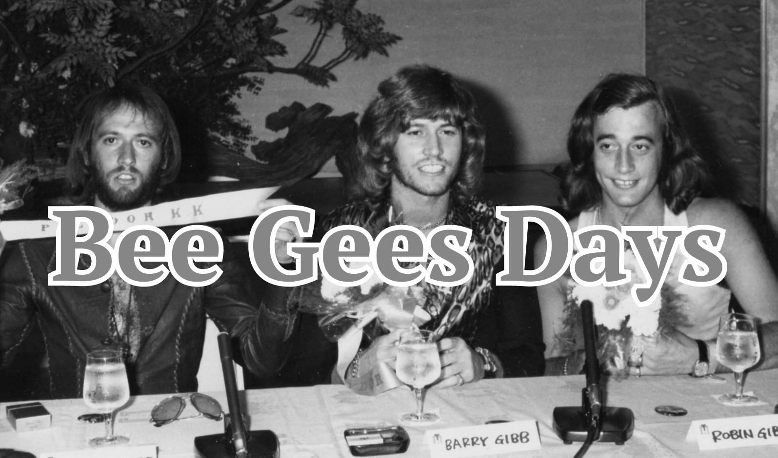 サイトマップ - Bee Gees Days